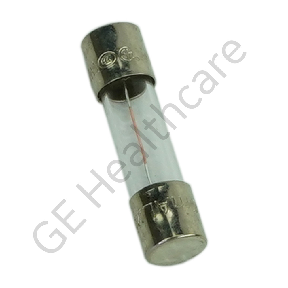 Fuse 0.1A 250V Fuse 0.1A 250V